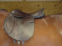 balanced saddle